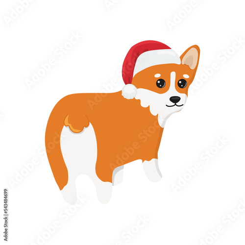 Corgi in Santa Claus hat. Corgi dog vector cartoon illustration. Cute friendly welsh corgi puppy, isolated on white background.