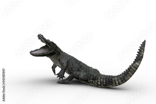 3D illustration of an Alligator attacking with jaws wide open isolated on white. photo