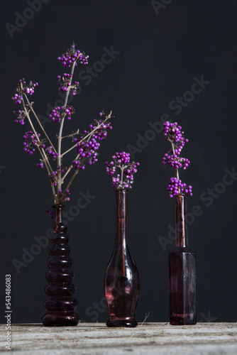 Branches of purple Callicarpa in vintage vases. photo