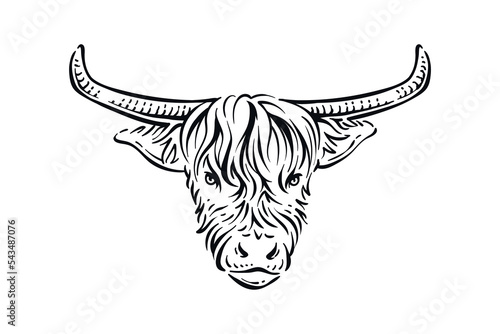 Vintage illustration of yak bison head with huge horn hand drawn vector design