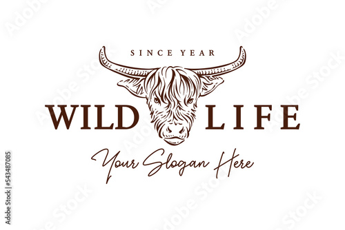Classic vintage yak cow head hand drawn american bison logo vector design