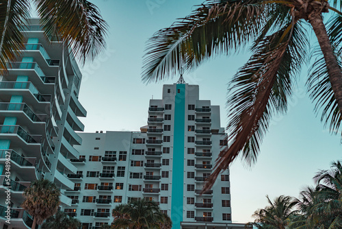 beach state hotel tropical palms vacation miami  © Alberto GV PHOTOGRAP