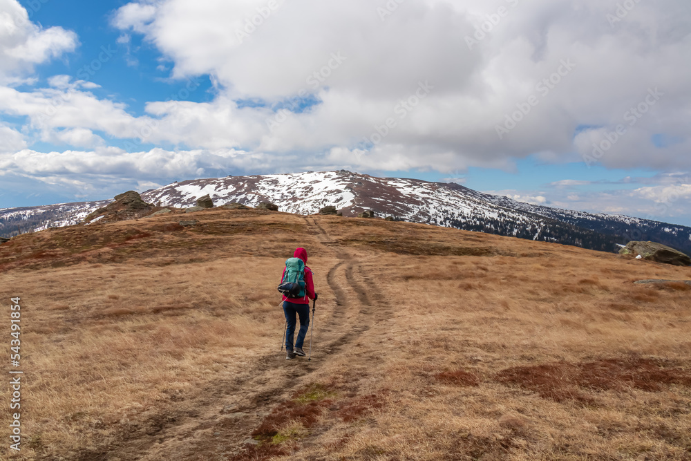 Woman with backpack hiking in cold windy winter at Ladinger Spitz in the Saualpe mountain range, Lavantal Alps, Carinthia, Austria, Europe. Hike path along on alpine pasture, clouds. Tourism Wolfsberg