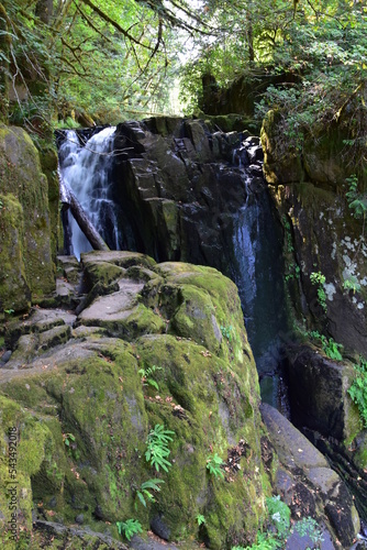 Sweet Creek Falls Waterfall along Hiking Trail Complex near Mapleton Oregon. America. photo