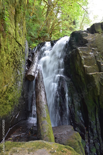 Sweet Creek Falls Waterfall along Hiking Trail Complex near Mapleton Oregon. America.