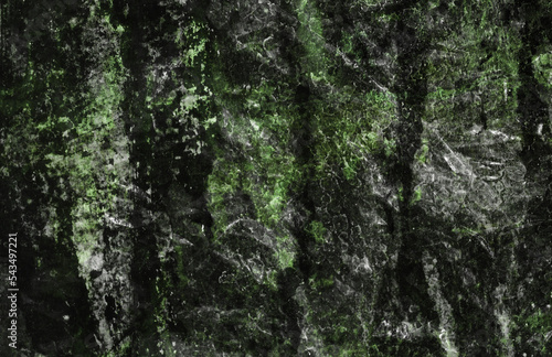 Green and Black texture © Austin