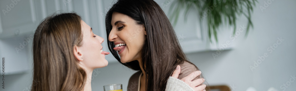 Young lesbian couple sticking out tongues in kitchen, banner Young lesbian couple sticking out tongues in kitchen, banner