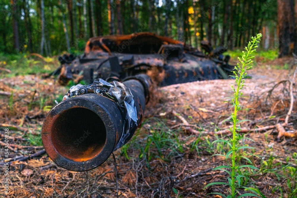 War in Ukraine, Remains of Destroyed and burned by Ukrainian army, russian battle tank of the Russian invaders after counteroffensive
War in Ukraine, Remains of Destroyed and burned by Ukrainian army, russian battle tank of the Russian invaders after counteroffensive