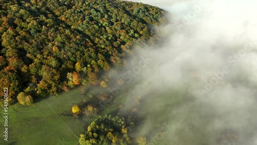 Autumn forest time lapse seen from above. Morning forest covered in mist landscape 