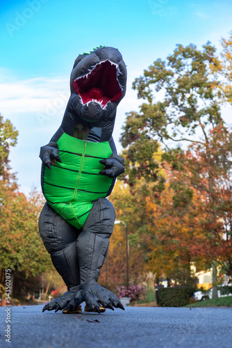 dinosaur costume 
