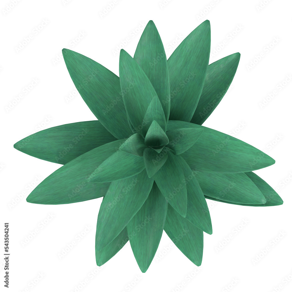 3d rendering illustration of a stylized succulent plant