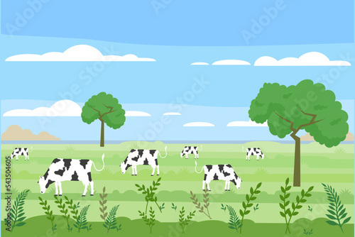 Cows eating grass on the green field. summer green field landscape. vector flat style illustration
