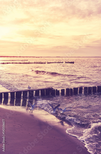Wooden breakwater at a beach at sunset, selective focus, color toning applied.