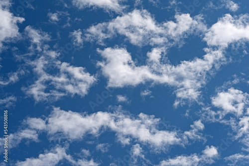 Kleine Sch  fchenwolken  Cirrocumulus  vor blauem Himmel