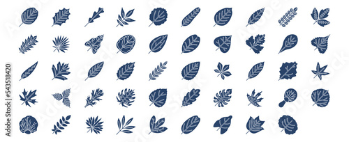 
Collection of icons related to Leaf, including icons like Alder, Arugula, Aspen, Ash, Banana and more. vector illustrations, Pixel Perfect set
