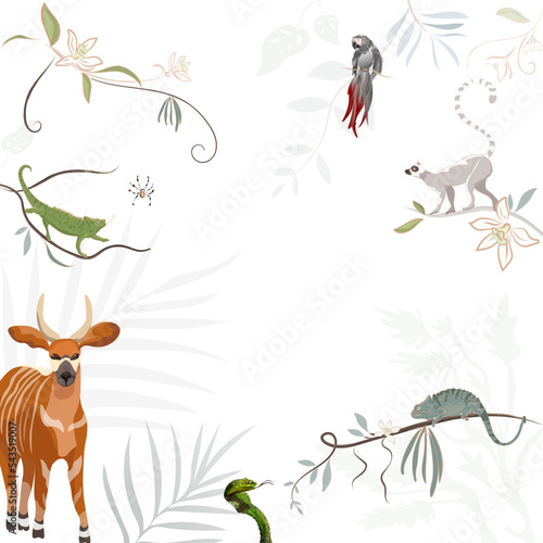 Africal jungle vector animals on floral tropical white background  photo