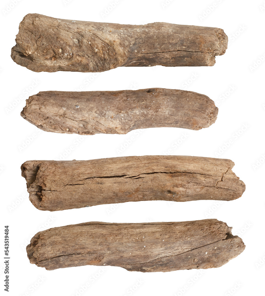 Macro dry branches isolated on transparent background, (high resolution) Macro dry branches isolated on transparent background, (high resolution)