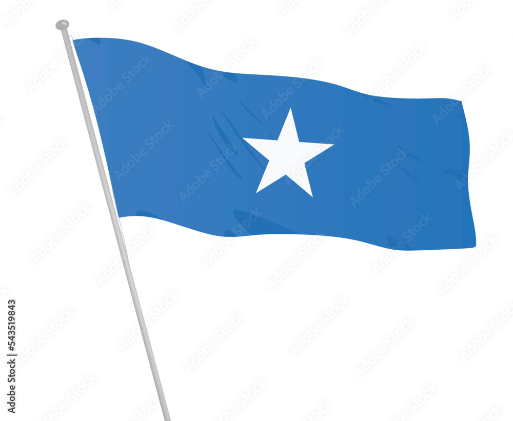 Somalia national flag. vector illustration Somalia national flag. vector illustration