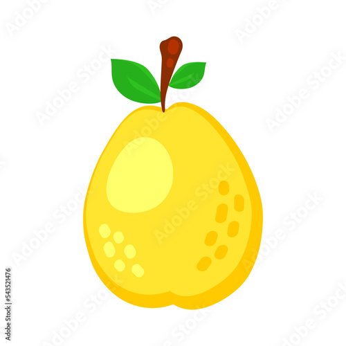 Colorful cartoon pear fruit icon isolated on white background. Doodle simple vector summer juicy food. Juice package or logo design element.