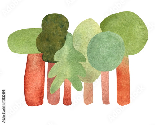 Green forest trees. A hand-drawn watercolor illustration in a childish style. For designs of children's goods. Isolated on the white background.