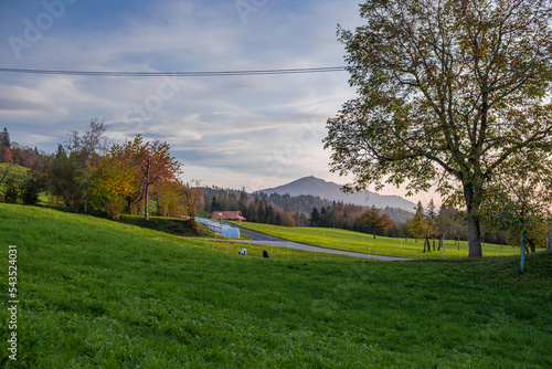 Green field in Switzerland with autumn coloured trees and mountains in background