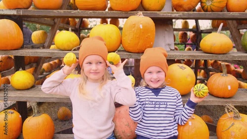 Two little sisters holding a pumpkins in their hands at the autumn pumpkin fair. Harvesting season.