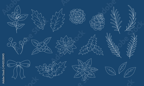 クリスマスの植物イラスト素材セット, 柊の葉っぱや木の実と花, ネイビーの背景に白色の線画.