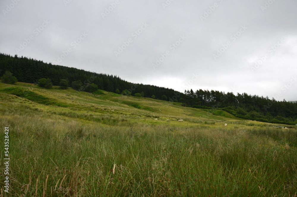 Obraz premium Scotland Highlands