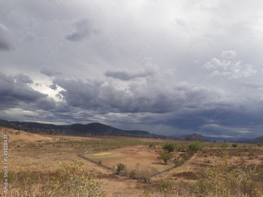 Obraz premium PAISAJE ARIDO