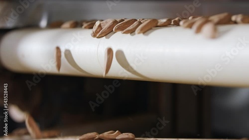 Almonds on a conveyor belt in an industrial food processing facility. Slow motion footage photo