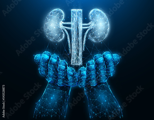 Polygonal vector illustration of a hand with human kidneys. Organ donation concept. Medical banner, template or background.