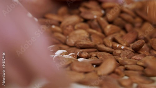 Almonds on a conveyor belt in an industrial food processing facility. Slow motion footage photo