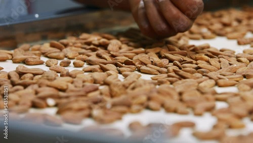 Almonds on a conveyor belt in an industrial food processing facility. Slow motion footage photo