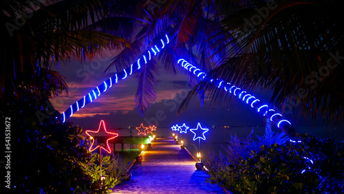 christmas lights on the street  palm trees decorated with illumination  star lighting along the pathway road  celebration of new year holiday at tropical island  visual frame  night view