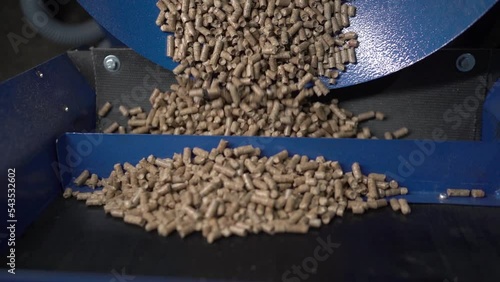 Wood fuel pellets fall on cells of delivering conveyor belt photo