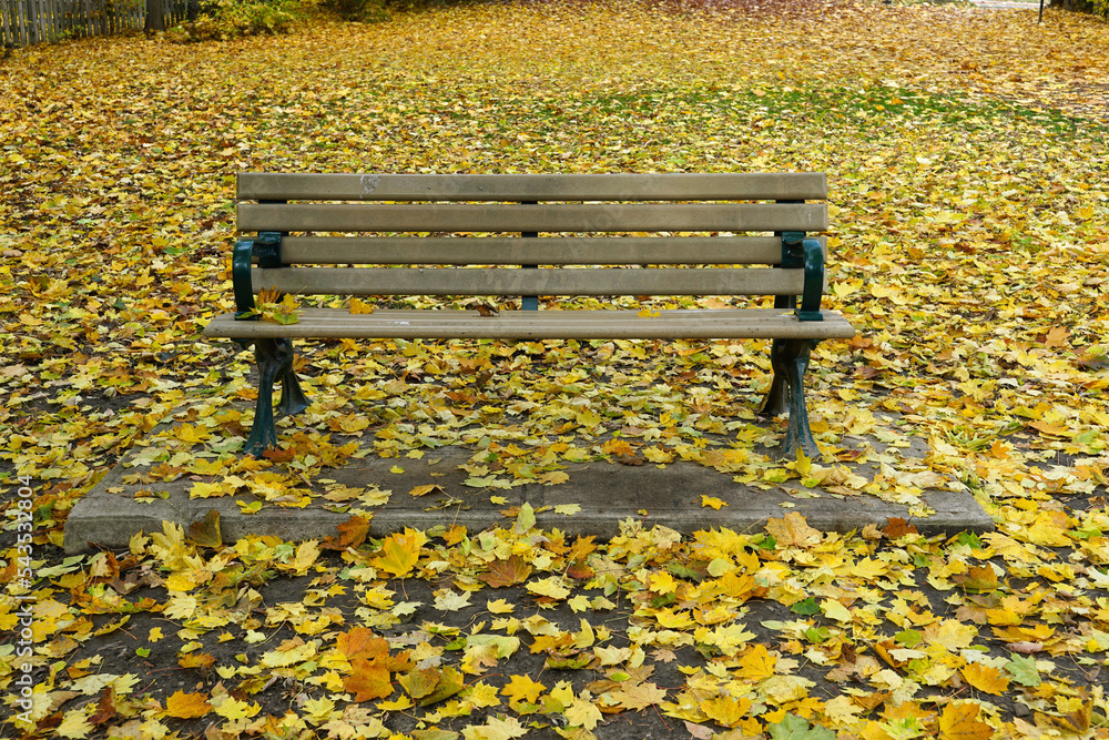 Lonely park bench with fallen leaves in autumn Lonely park bench with fallen leaves in autumn