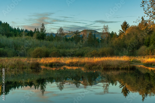 Darlin Creek Preserve Washington State photo