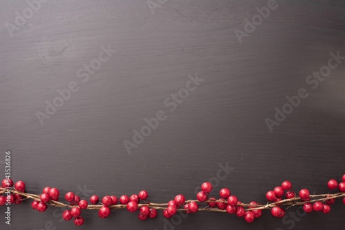 Red cranberry bottom border over a dark background with copy space