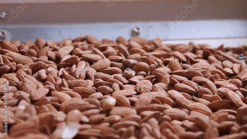 Almonds on a vibrating sorting machine in an industrial food processing facility. Slow motion footage photo