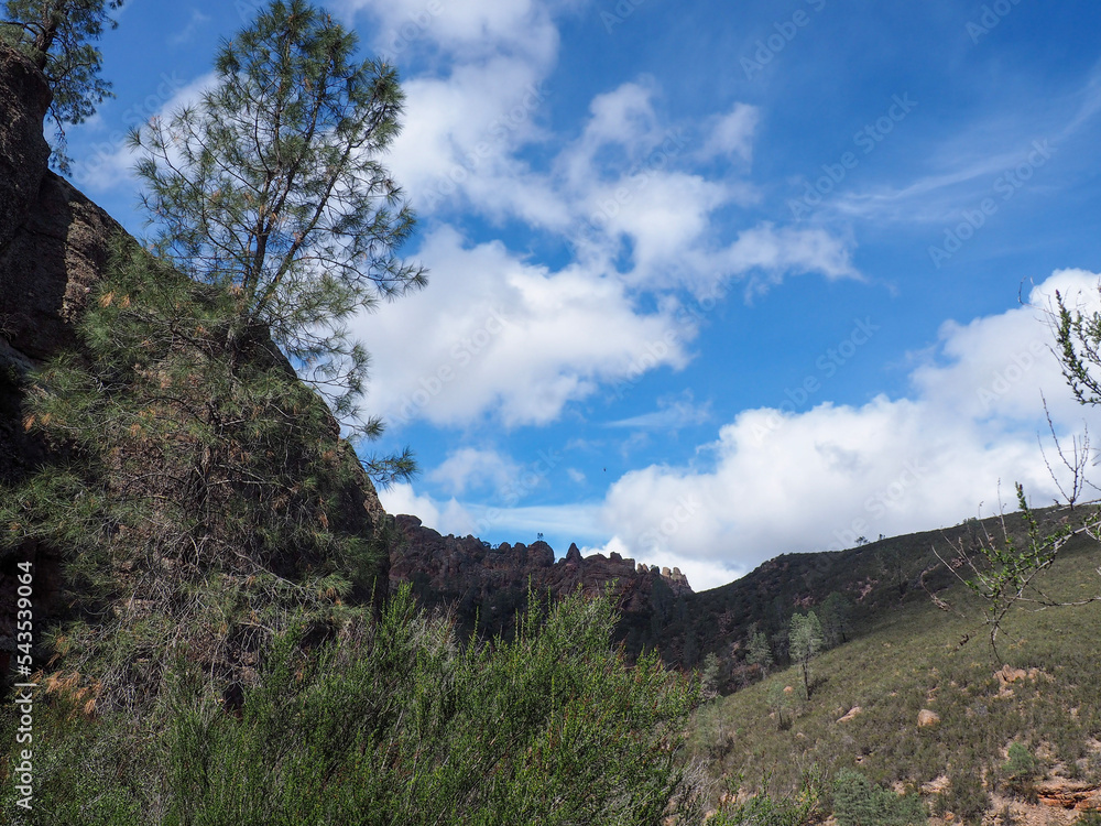 Fototapeta premium Pinnacles National Park scenic view