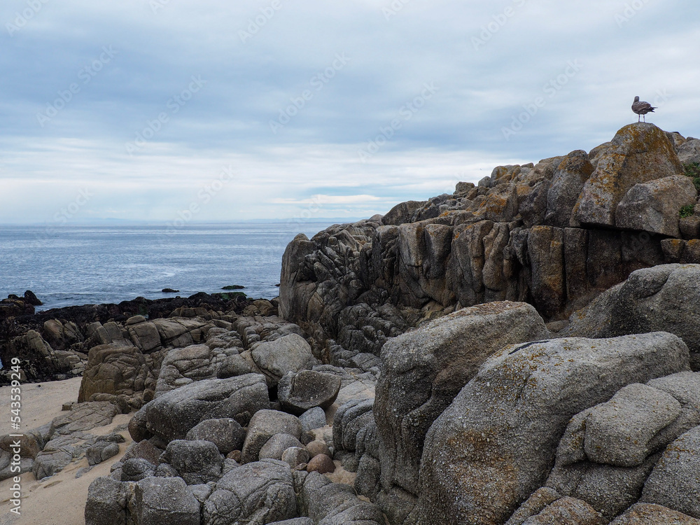 beach and rocks on an overcast day beach and rocks on an overcast day