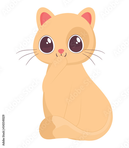 cute blond kitten