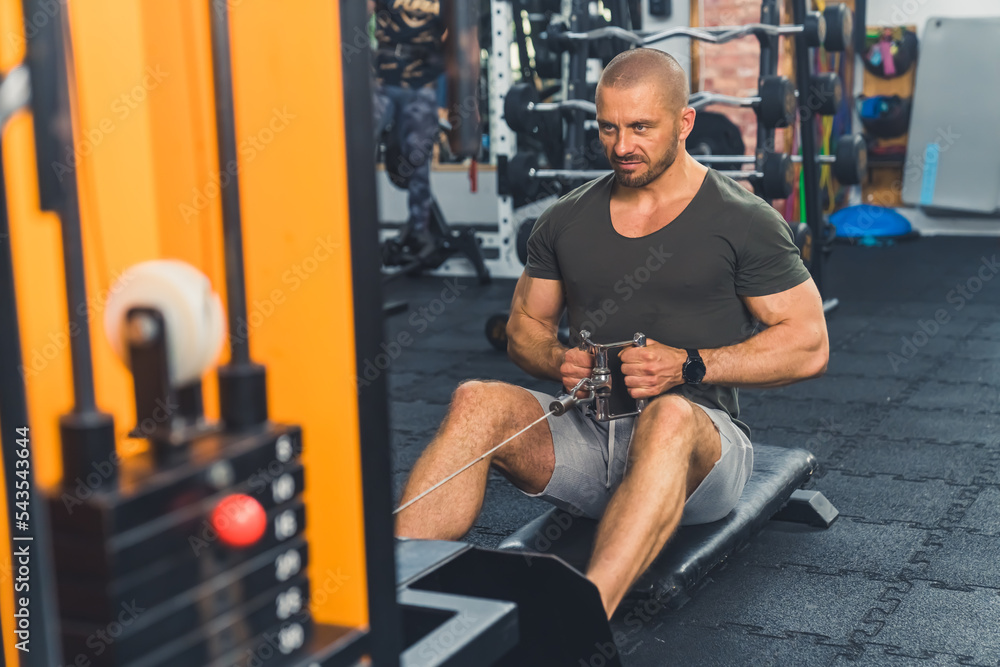 Full-length indoor shot of extremely focused caucasian muscular bald male bodybuilder exercising at gym in dark t-shirt and gray shorts. High quality photo