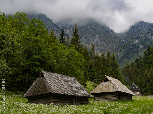 shepherd's huts in Strazyska Valley in the Tatra Mountains durin cloudy sammer day