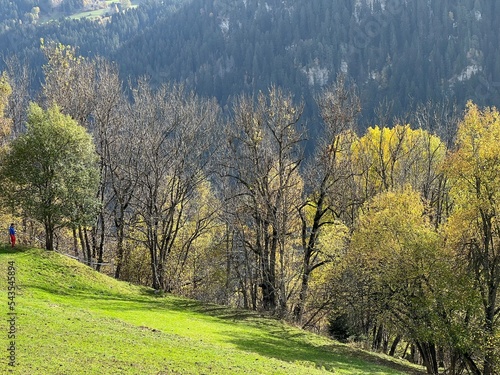 Magnificent autumn colors in the surroundings of mountain pastures and mixed forests on the slopes of the Swiss Alps, Ilanz - Canton of Grisons, Switzerland (Kanton Graubünden, Schweiz) photo