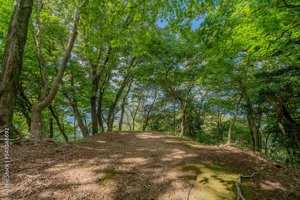 Naklejka premium 七尾城