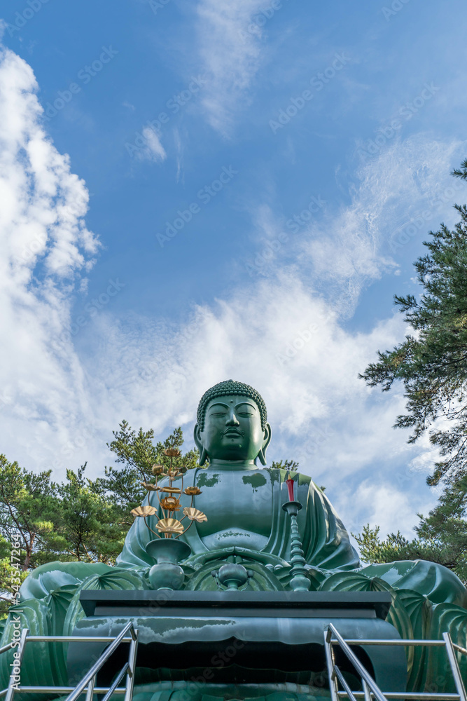 能登長寿大仏 能登長寿大仏