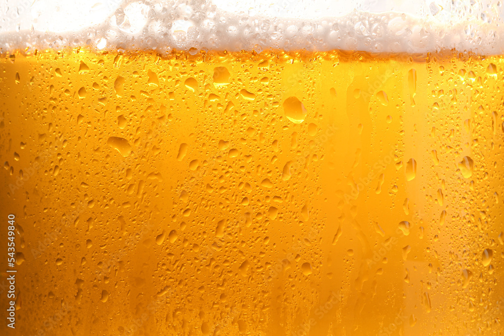 Glass of tasty cold beer with foam and condensation drops on white background, closeup Glass of tasty cold beer with foam and condensation drops on white background, closeup