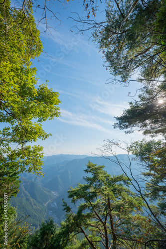 Mountain View Through Trees