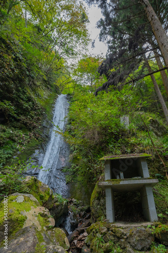 Waterfall in the Forest